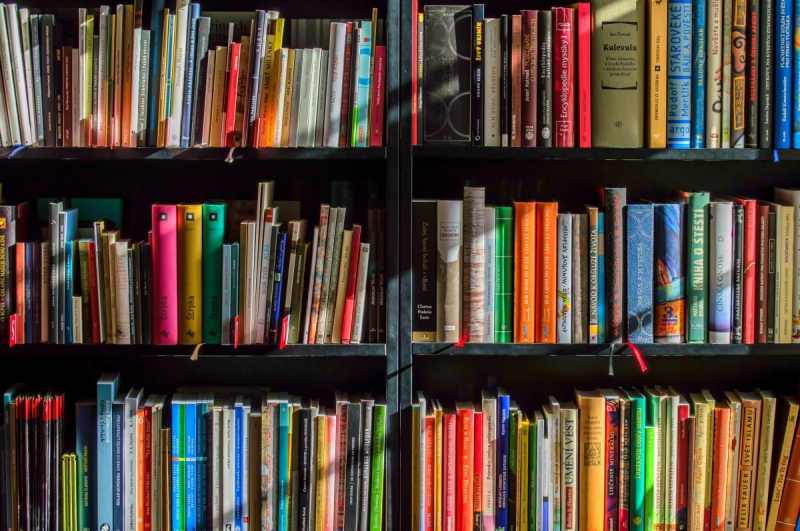 boutique-ISOLA-min_books_bookstore_book_reading_shop_writer_sale_books_read-822866