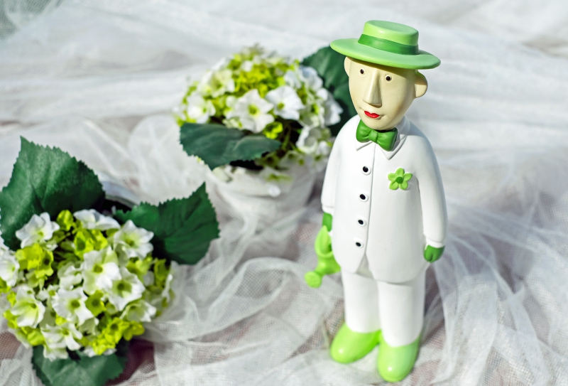 boutique-ISOLA-min_man-person-flower-green-toy-fig-546529-pxhere.com